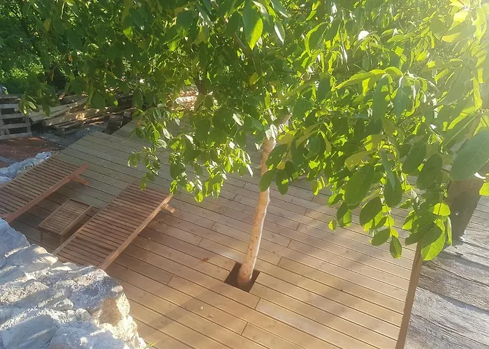 Brandy House Hedonica