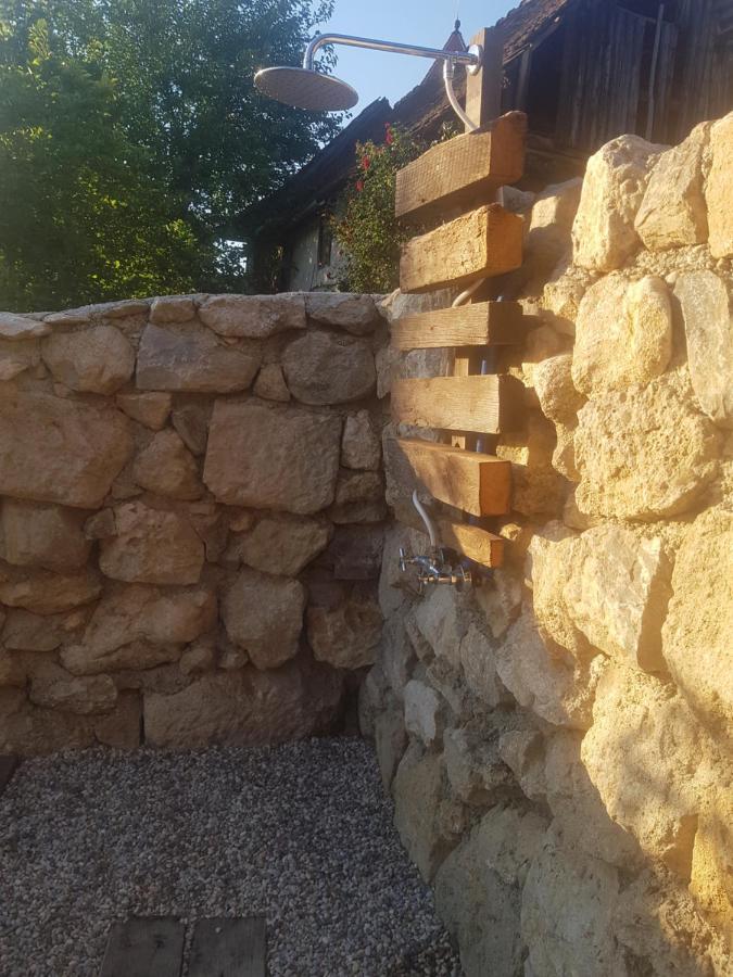 Brandy House Hedonica